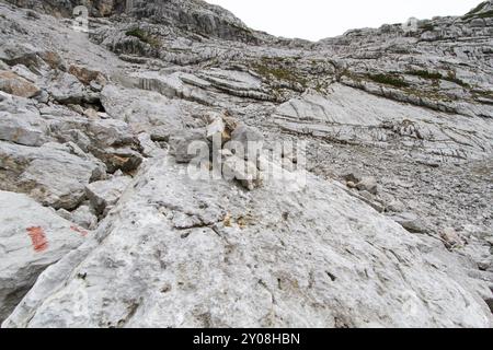 Escursioni in montagna in Austria, Loferer Steinberge Foto Stock