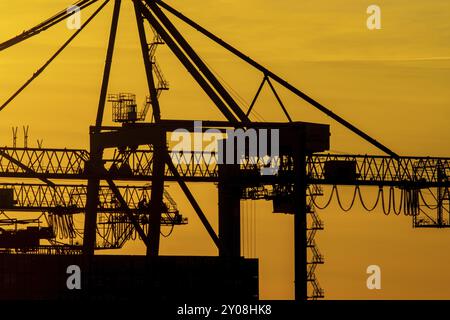 Dettagli di una gigantesca gru a portale per container al tramonto Foto Stock