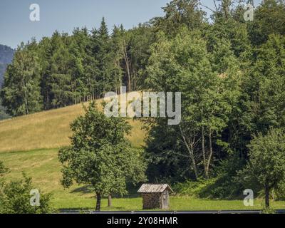 Paesaggio verde con foresta dietro una cresta erbosa e una piccola capanna in primo piano, Duernstein, Wachau, Danubio, Austria, Europa Foto Stock