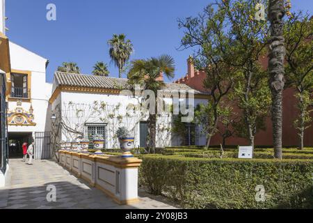 Jardines del Alcazar, Giardini dell'Alcazar, Palazzo reale di Siviglia, Siviglia, Spagna, Europa Foto Stock