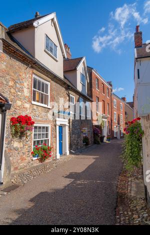 Attraenti case costruite in selce in una strada laterale di Norwich con fiori all'esterno in orientamento verticale Foto Stock