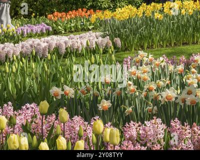 Colorate aiuole di tulipani, giacinti e narcisi in un parco armonioso, Amsterdam, Paesi Bassi Foto Stock