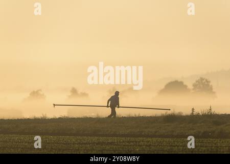 Immagine simbolica, cambiamento climatico, riscaldamento globale, un coltivatore di verdure posa tubi di irrigazione in un campo per innaffiare verdure, nebbia, mattina, Baden-Wuerttemb Foto Stock