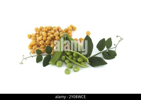 Piselli secchi gialli circondati da una foglia verde, piselli verdi freschi e baccelli di piselli isolati su fondo bianco, dieta sana a base vegetale Foto Stock