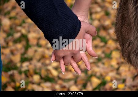 Vista ravvicinata della coppia che si tiene per mano e cammina insieme all'aperto per terra coperta di foglie cadute. Foto Stock