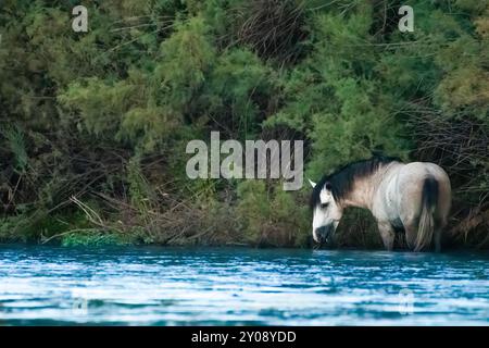 Andiamo da solo lungo il fiume Foto Stock