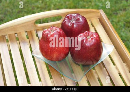 3 mele rosse su un vassoio 3 mele rosse su un vassoio all'aperto Foto Stock