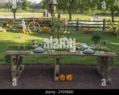 Un lungo tavolo in legno all'aperto, decorato con zucche e piante, di fronte a uno sfondo rurale, borken, muensterland, Germania, Europa Foto Stock