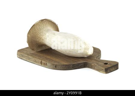 Fungo Pleurotus eryngii isolato su sfondo bianco, noto anche come fungo tromba re, fungo corno francese, eryngi, fungo ostrica re, re Foto Stock