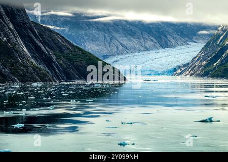 Endicott Arm, Alaska, Stati Uniti: Ghiacciaio Dawes Foto Stock