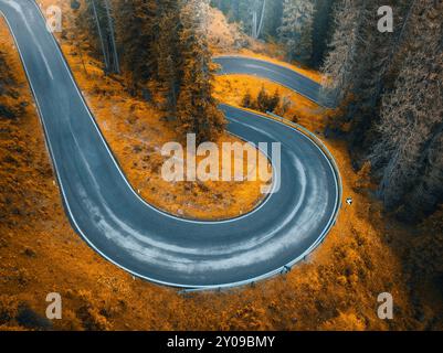 Vista aerea della strada bagnata e della foresta arancione in autunno dorato Foto Stock