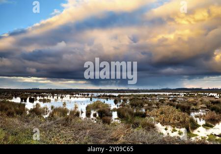 Bellissime nuvole sulla palude all'alba Foto Stock