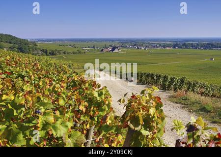 Chateau du Clos de Vougeot, Burgund, Chateau du Clos de Vougeot, Cote d'Or, Borgogna in Francia Foto Stock