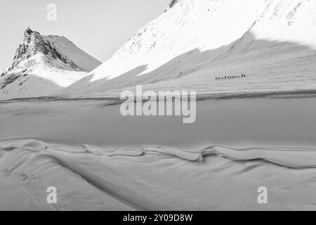 Un gruppo di sciatori nella valle di Stuor Reaiddavaggi, Kebnekaisefjaell, Norrbotten, Lapponia, Svezia, marzo 2013, Europa Foto Stock