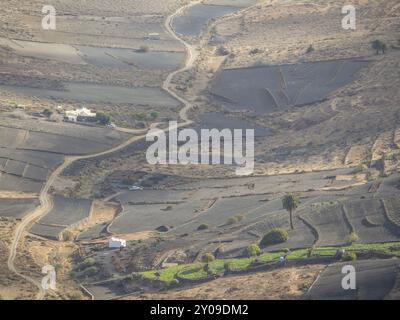 Panoramica dei campi agricoli e dei sentieri che attraversano il paesaggio collinare desertico, lanzarote, Isole Canarie, Spagna, Europa Foto Stock