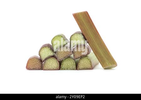 Varietà di gambi di rabarbaro di vari colori dal verde pallido al rosso profondo isolati su fondo bianco, benefici per la salute di mangiare rabarbaro Foto Stock