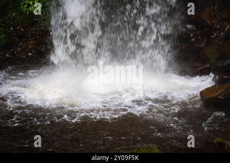 Foto ravvicinata di una cascata che si tuffa sulle rocce nella lussureggiante foresta. Foto Stock