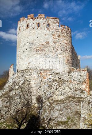 Rovine del castello di Devicky, colline di Pavlov, Moravia meridionale, Repubblica Ceca Foto Stock