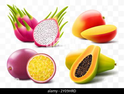 Set di esotici frutti tropicali maturi mango, papaya, frutto della passione e frutto del drago o pitaya, isolati su sfondo trasparente. Intero e fette di ju Illustrazione Vettoriale