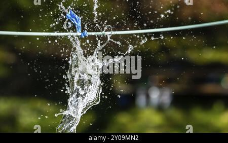 Palloncino blu riempito d'acqua su una linea. Scoppiare Foto Stock