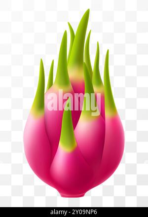 Frutto del drago. Pitaya o pitahaya isolato su sfondo trasparente. Frutta esotica del drago. Frutti vitaminici tropicali estivi. Mangiare fresco maturo con bianco Illustrazione Vettoriale