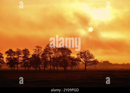 Sole al tramonto dietro le nuvole e le sagome degli alberi Foto Stock