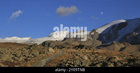 Sentiero escursionistico a Zermatt. Ghiacciaio Findel e morena. Vista da Fluhalp Foto Stock