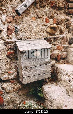 Vecchia cassetta per posta in legno su pareti in pietra a Perouges, Francia. Foto Stock