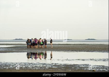 Escursionista nelle distese fangose, Wyk, Foehr, Frisia settentrionale, Schleswig-Holstein, Germania, Europa Foto Stock