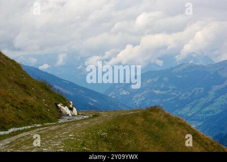 Vista di un incredibile paesaggio montano con un sentiero roccioso in una giornata nebulosa con nuvole grigie e nebbia sulle vette in autunno in Austria. Foto Stock