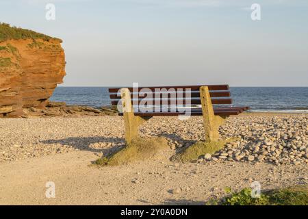 Panca vicino Otterton battuta, guardando a Lyme Bay, Budleigh Salterton, Jurassic Coast, Devon, Regno Unito Foto Stock