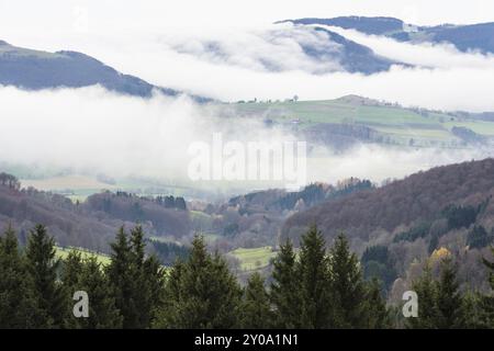 Rolling FOG, Hessian Rhoen Nature Park, Hesse, Germania, novembre 2014, Europa Foto Stock