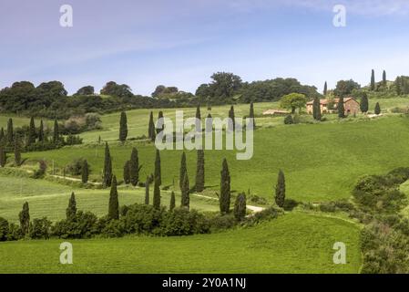 VAL d'ORCIA, TOSCANA, ITALIA, 22 MAGGIO: Agriturismo in Val d'Orcia, Toscana il 22 maggio 2013 Foto Stock