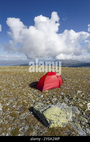 Tenda sul monte Elgahogna che si affaccia sul lago Femunden, il parco nazionale Femundsmarka, Hedmark Fylke, Norvegia, luglio 2011, Europa Foto Stock