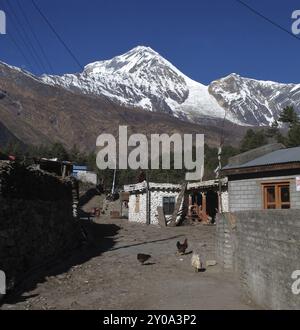 Camminando nel villaggio di Titi, Nepal, Asia Foto Stock