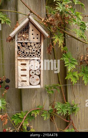 Insect hotel Housing Solitary Bees, Danimarca, 1° settembre 2024 Foto Stock