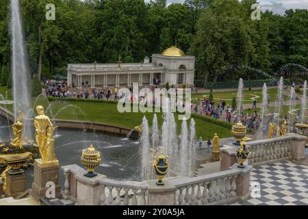 Fontana del giardino con statue dorate e fontane gorgoglianti, persone che camminano e si godono il paesaggio verde, san pietroburgo, il mar baltico, russi Foto Stock