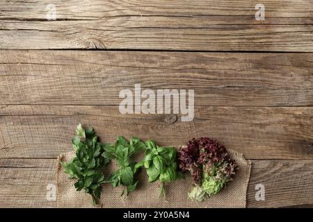 Concetto di giardinaggio e alimentazione sana con erbe e foglie di insalata diverse, basilico, menta, radicchio, prezzemolo e sedano su sfondo grigio Foto Stock