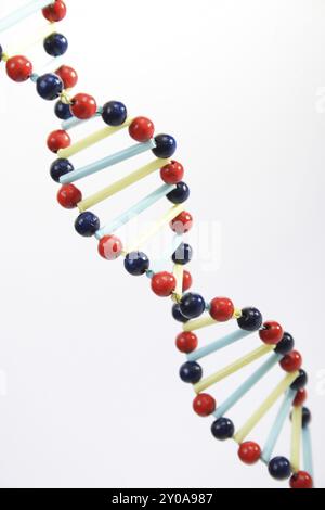 Immagine simbolica DNA, ingegneria genetica, filamento di DNA, Vienna, Austria, Europa Foto Stock