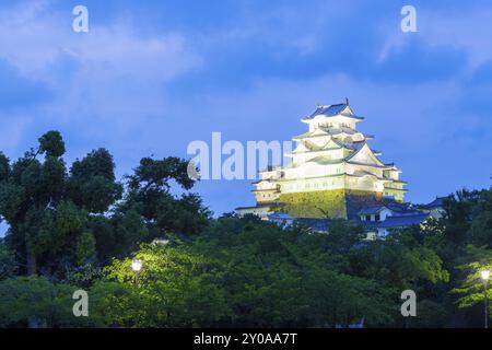 Cielo blu scuro dietro l'illuminato Himeji-jo, uno dei 12 castelli originali rimasti, che si innalza sopra gli alberi all'ora blu del tramonto a Himeji, in Giappone, dopo la ristrutturazione del 2015 Foto Stock