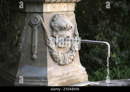 Una delle numerose fontane di Weimar (Turingia) Foto Stock