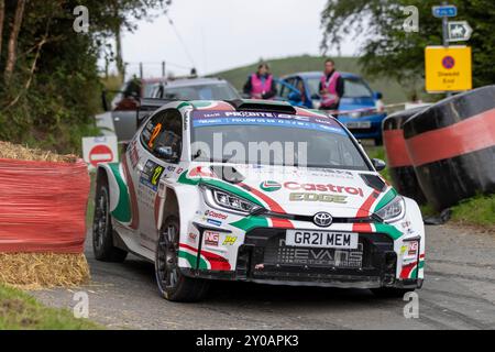 Aberystwyth, Dyfed, Regno Unito. 1 settembre 2024. 2024 FIA European Rally Championship Day 3; pilota Meirion Evans e co-pilota Jonathan Jackson nella loro Toyota GR Yaris potenza attraverso Hafod fase 12 credito: Action Plus Sports/Alamy Live News Foto Stock