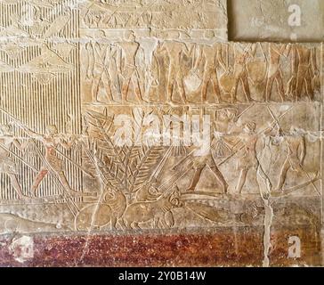 Intricato rilievo murale che mostra gli uomini di Merurka che lanciano ippopotami nel nilo nella Tomba della mastaba di Merurka, Gran Visir di Pharoah Teti, vi dinastia a Saqqara, il Cairo, Egitto Foto Stock