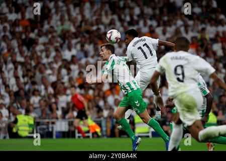 Madrid, spagnolo. 1 settembre 2024. Madrid, Regno di Spagna; 01.09.2024.- Rodrygo va il Real Madrid sconfigge il Real Betis il giorno 4 del campionato di calcio spagnolo. Con i gol di Kylian Mbpaeé, i suoi primi due al Santiago Bernabéu Stadium (67' e 75' di rigore) hanno battuto il Betis. Crediti: Juan Carlos Rojas/dpa/Alamy Live News Foto Stock