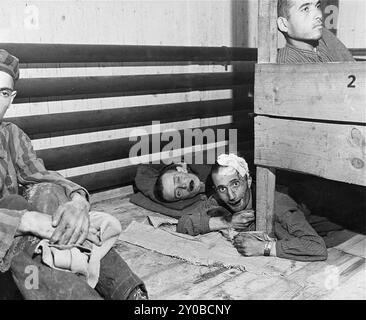 Un gruppo di sopravvissuti ebrei malnutriti nell'infermeria di Ebensee. Ebensee era un sottocampo del campo di concentramento di Mauthausen costruito dalle SS nel 1943 per costruire tunnel per lo stoccaggio degli armamenti vicino alla città di Ebensee, in Austria. Anche se il complesso di Mauthausen non era un centro di sterminio, gli abusi, la crudeltà e la negligenza erano all'ordine del giorno. Tra i 8.500 e i 11.000 prigionieri morirono nel campo, per lo più per fame o malnutrizione. L'esercito americano liberò il campo il 6 maggio 1945. Foto Stock