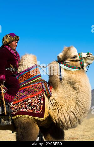 Ritratto di un kazako in sella al suo cammello battriano. Foto scattata nella regione Altai della Mongolia occidentale. Foto Stock