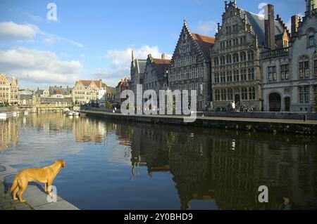 Gand, Belgio, 3 dicembre: Gand, Belgio, il 3 dicembre, 2008, è la capitale e la città più grande della provincia delle Fiandre Orientali. Il Graslei è uno dei m Foto Stock