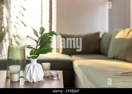 Rilassati nella comodità di casa con candele e vaso con zamioculche al tavolo di legno. Divano verde e raggi di sole. Foto Stock