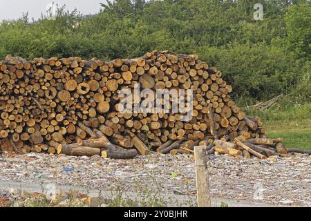 Grande pila di fire ciocchi di legna per l'inverno Foto Stock