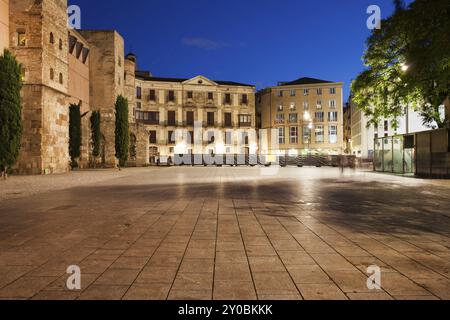 Piazza Placa Nova di notte nel quartiere Gotico (Barri Gotic) della Barcellona in Catalogna, Spagna, Europa Foto Stock